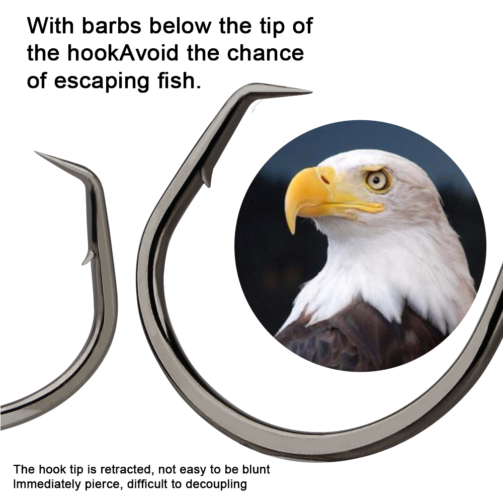 ตะขอเบ็ดตกปลา FTK ตะขอวงกลมสำห - Fishing Hook Assortment บทวิจารณ์และราคา